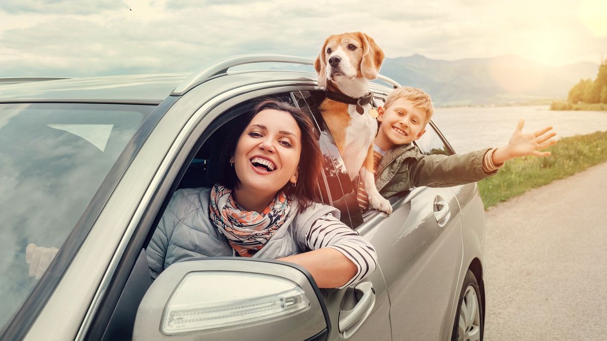 Zdjęcie ilustracyjne do artykułu