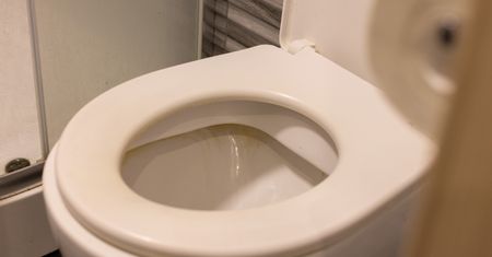 Wlej do spłuczki. "Wyżre" cały kamień z WC