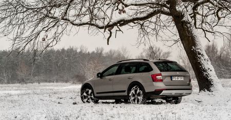 Nowa Škoda Octavia Scout 2.0 TDI - test