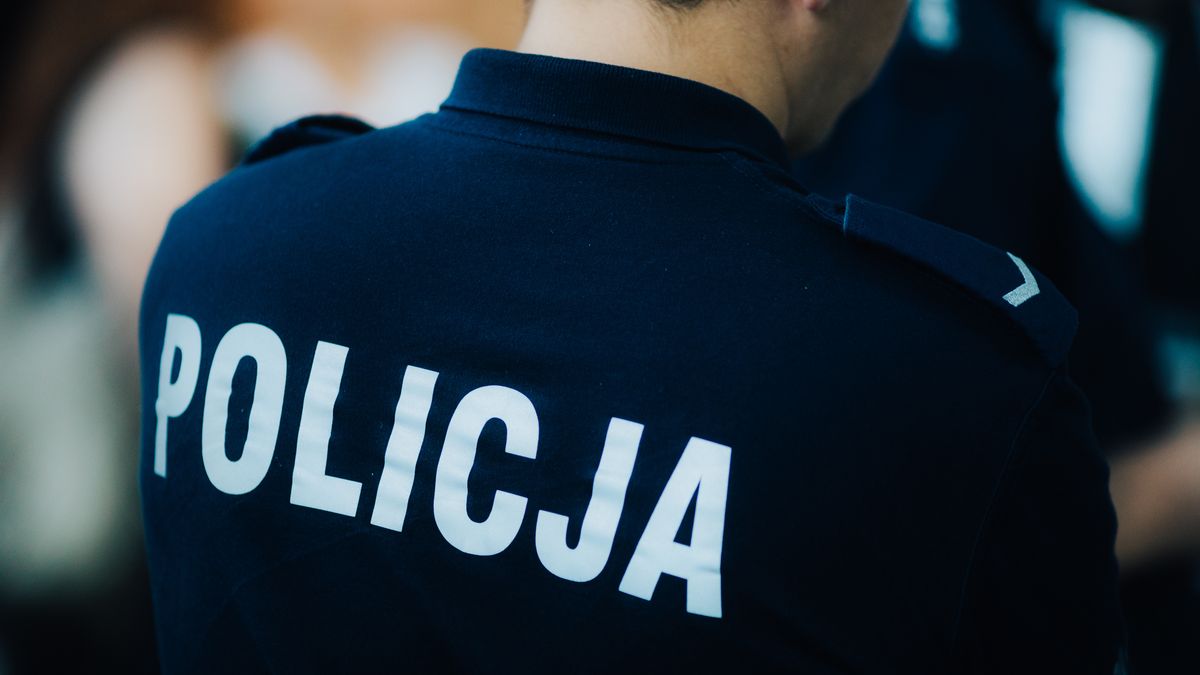 wpwiado policja