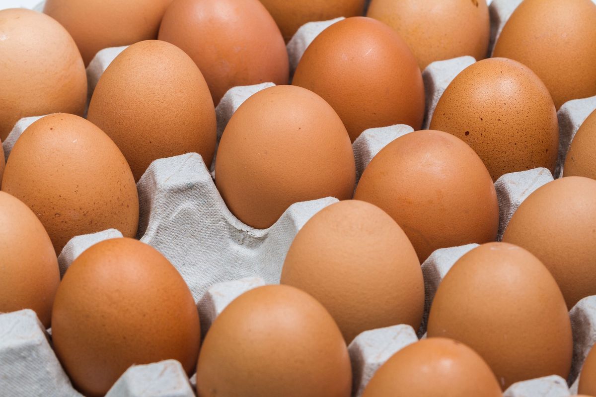 Jajka z chowu ekologicznego uznawane są za zdrowsze