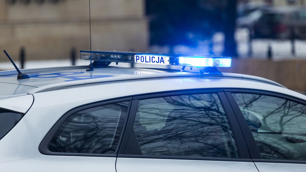 Porwanie 3,5-latka. Policja ujawniła narodowość sprawcy.