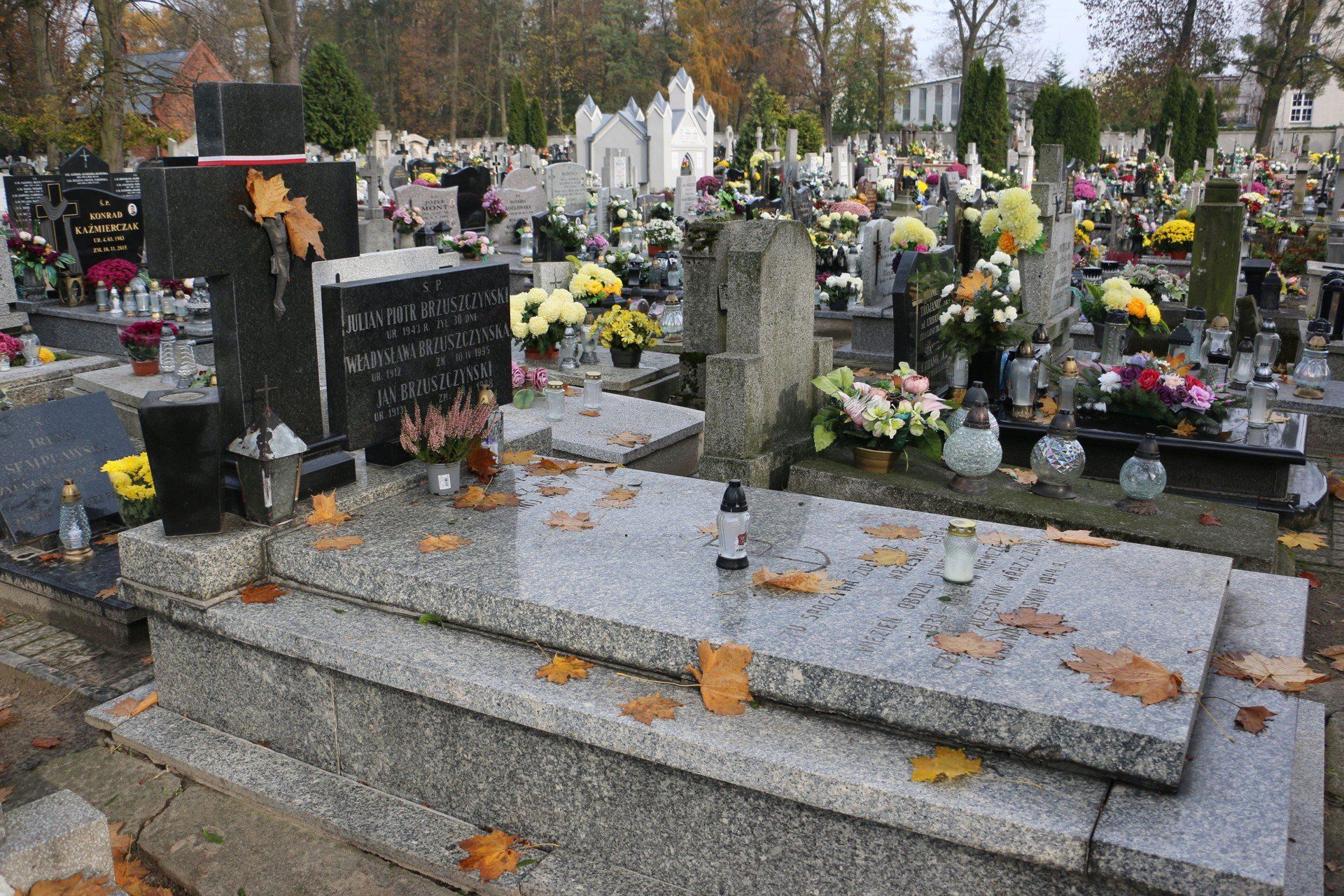 Między starymi drzewami i omszałymi nagrobkami kryje się historia Aleksandrowa Kujawskiego - pełna wzruszeń, dramatów i lokalnej dumy. Stary cmentarz parafialny to nie tylko miejsce pamięci, lecz także żywa lekcja historii.