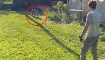 Alarm w Czechach. Służby postawione na równe nogi