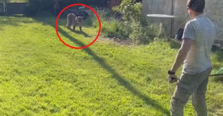 Alarm w Czechach. Służby postawione na równe nogi