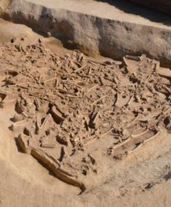 Słowacja: odnaleziono zbiorową mogiłę sprzed 7000 lat. Ofiary pozbawiono głów