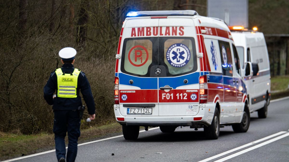 Wypadek na DK32 ko?o Zielonej G�ry
Fot. NewsLubuski/East News, Zielona Gora, 27.01.2025. Wypadek drogowy na drodze krajowej nr 32 kolo Zielonej Gory. Na odcinku Lesniow Wielki - Zielona Gora zderzyly sie dwa samochody osobowe oraz bus. Na miejsce wezwano sluzby ratownicze - jedna osoba trafila do szpitala. Trasa zostala zablokowana.
NewsLubuski