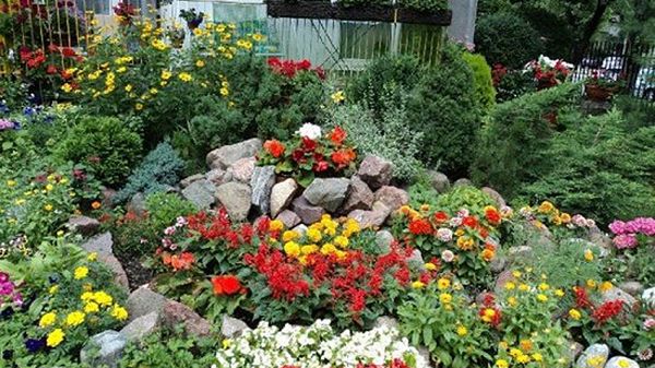 Balkon i ogród Henryki i Wojciecha Pietrzaków przy ul. Mickiewicza, fot. UM Warszawa