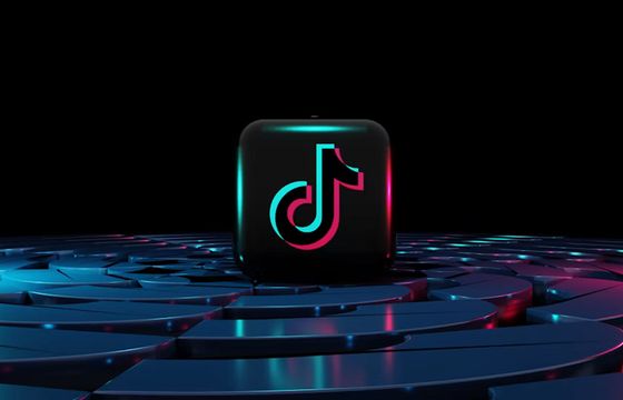 Politycy podbijają polski TikTok. Skuteczną receptą jest kontrowersja