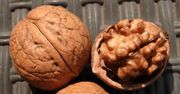 Ile orzechów możesz zjeść w ciągu dnia? Mało kto się nad tym zastanawia, a to bardzo ważne