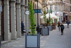 Bielsko-Biała. Upiększyli deptak, drzewa w donicach