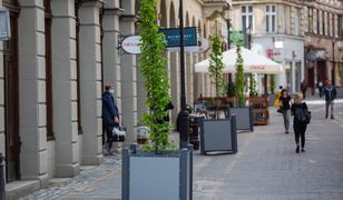 Bielsko-Biała. Upiększyli deptak, drzewa w donicach
