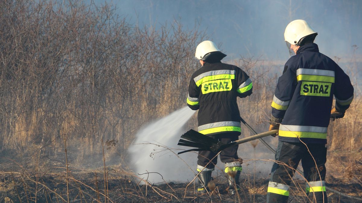 Podpalacze z Podhala ruszyli na łąki. Trawy pod Tatrami stanęły w ogniu