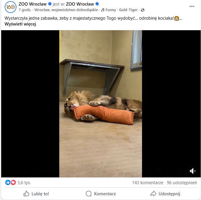 ZOO zamieściło film w sieci.