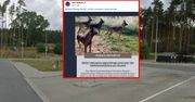 Ojciec 46-letniego Marcina nie kryje żalu. "Liczę na sprawiedliwość"