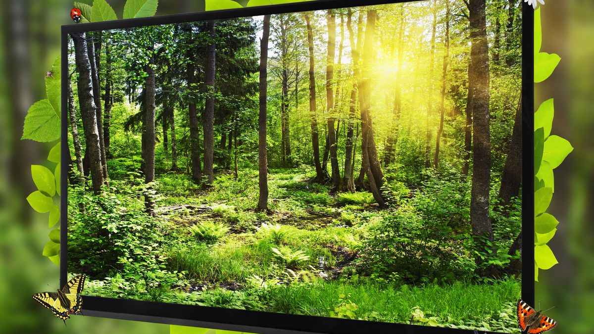 Telewizor Telefunken: matrycowe podświetlenie ekranu w super cenie 1