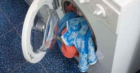 Wrzuć do pralki. Zapomnisz o sierści na ubraniach