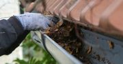 Czyszczenie rynien – ile kosztuje i dlaczego warto zadbać o drożność?