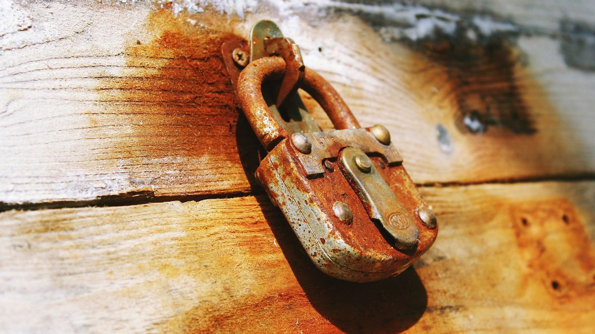 Łatkowy Wtorek listopada (fot. TanteTati, Pixabay)