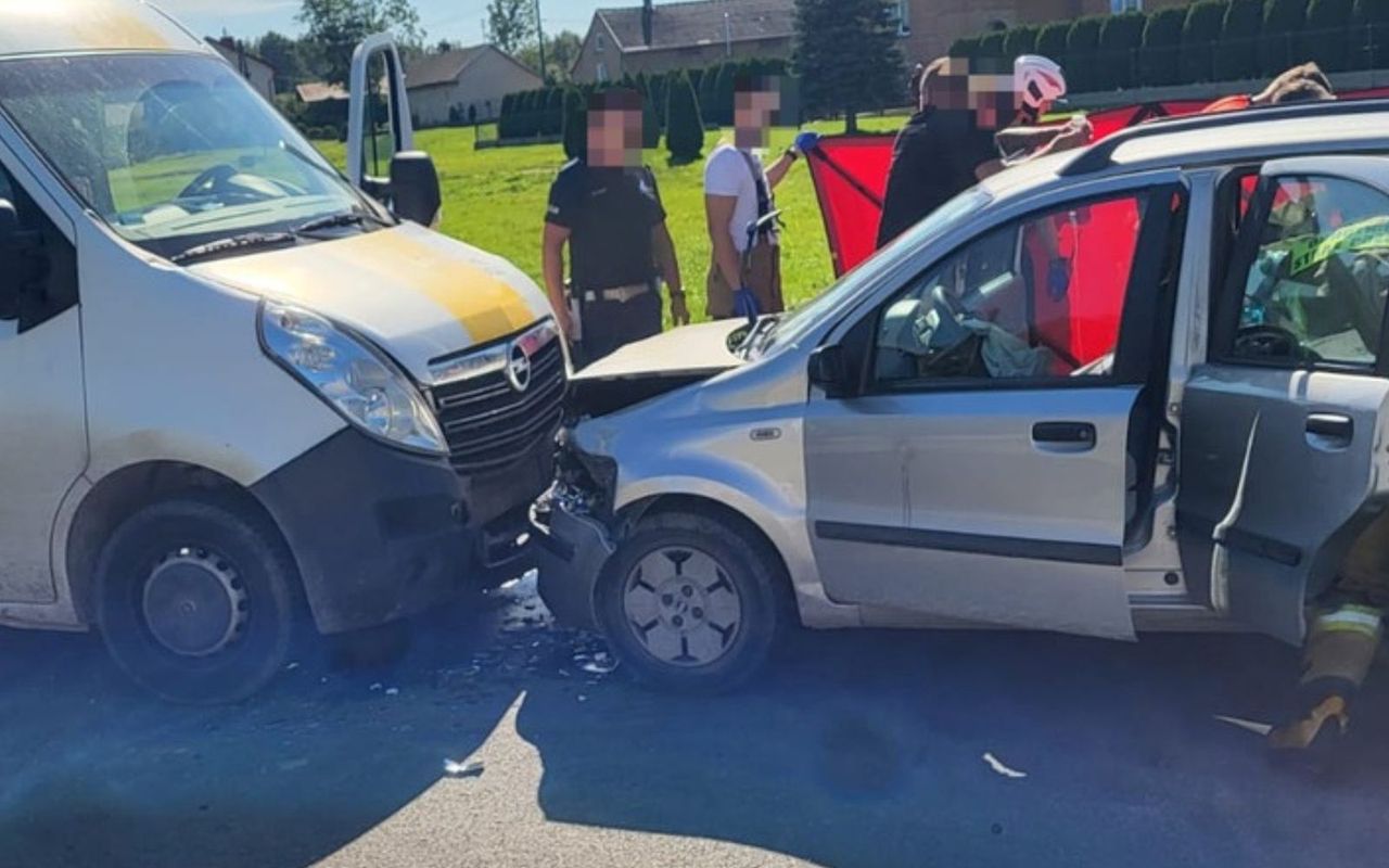 Nie żyje 4-latka. "Nie stwierdzono obecności fotelika". Głos śledczych