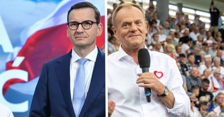 TVP zapytała o prywatyzację lasów. Wszyscy zaczęli mówić o Lotosie i Orlenie