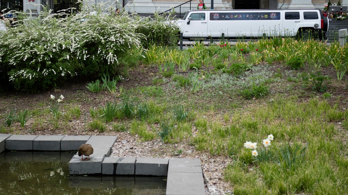 Canon EOS M3 - zdjęcia przykładowe 1