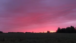 Pleszew: Różowe niebo nad miastem. Wszystko przez pomidory