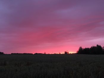 Pleszew: Różowe niebo nad miastem. Wszystko przez pomidory