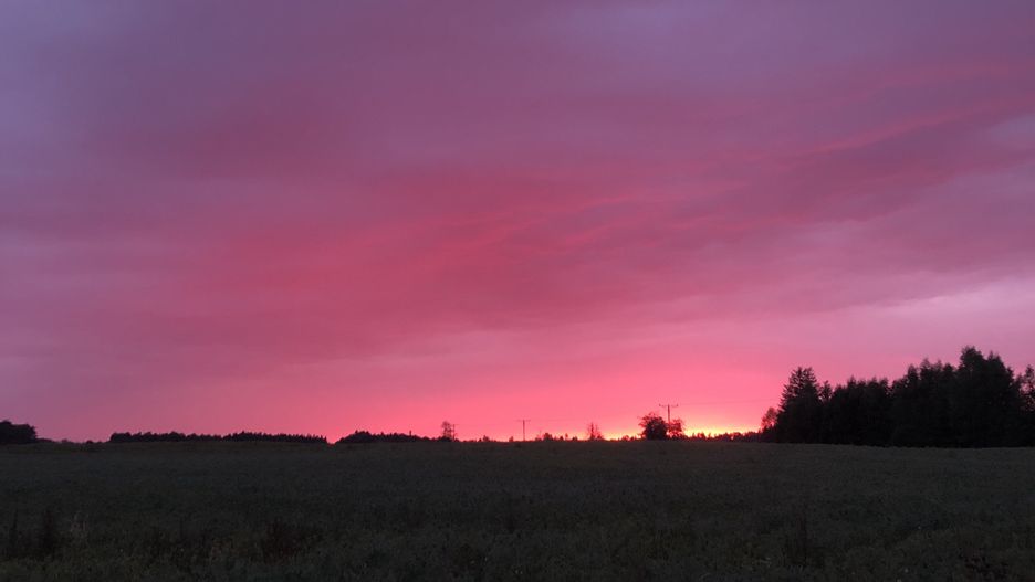 Różowe niebo nad Gdańskiem