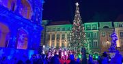 Poznań: Na Starym Rynku rozbłysła choinka