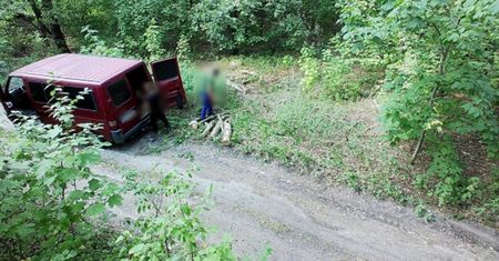 Złapani na gorącym uczynku. Wszystko nagrał leśny monitoring