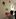 invaderswall