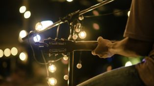 Trójmiasto: Brasswood Festiwal już za nami. Koncerty w samym sercu natury