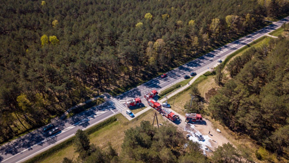 Do odnalezienia zwłok doszło w lesie na jednym z gdańskich osiedli (zdjęcie ilustracyjne) 