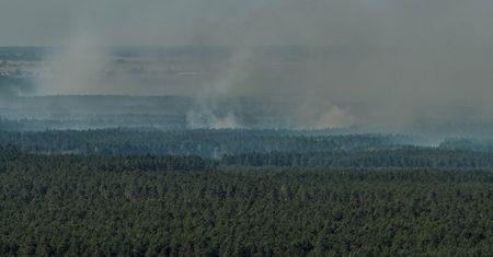 Pożar w Puszczy Solskiej. Płoną chronione torfowiska i bory bagienne