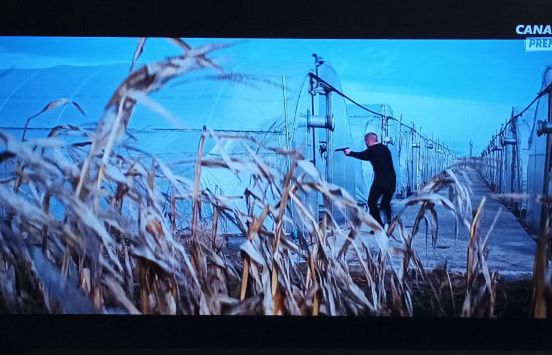 Mniej premier filmowych w Canal+. „Nie ma zasadniczej zmiany w ciągu roku”