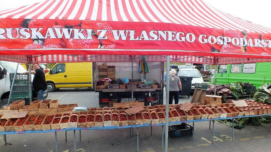 Plantator truskawek spod Zawichostu przywiózł na targ taką ofertę