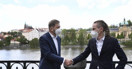 Czechy. "Piraci i Burmistrzowie" popierają przyjęcie euro i związki jednopłciowe