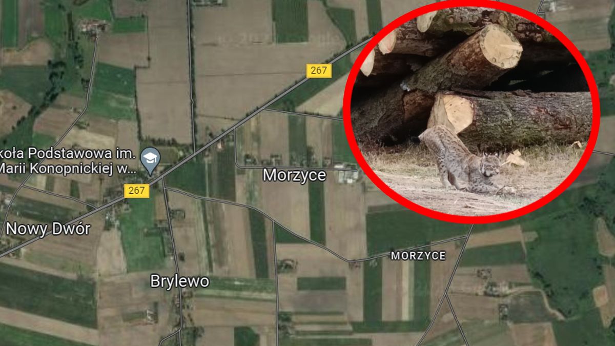 Wyjątkowe zdjęcie. Zobacz, kto dał się przyłapać