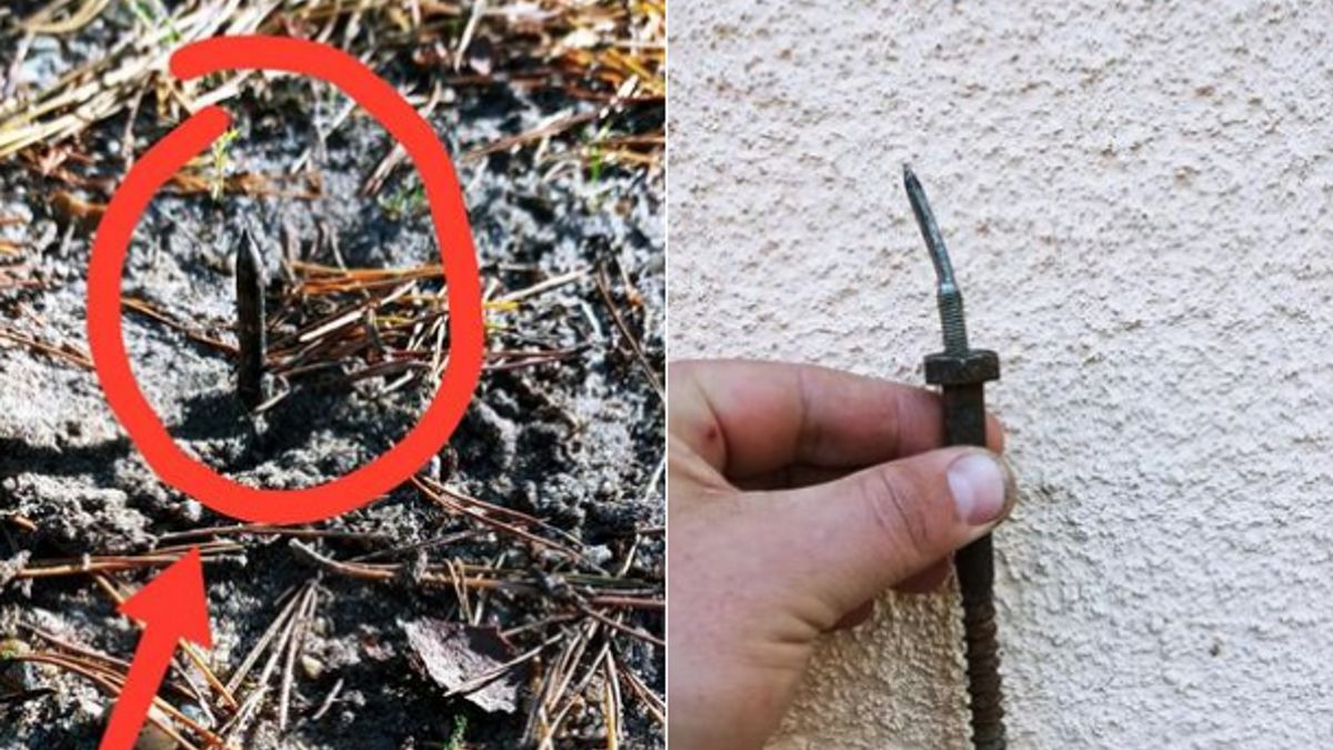 Takie "niespodzianki" znaleziono w okolicach miejscowości Łagoda. 