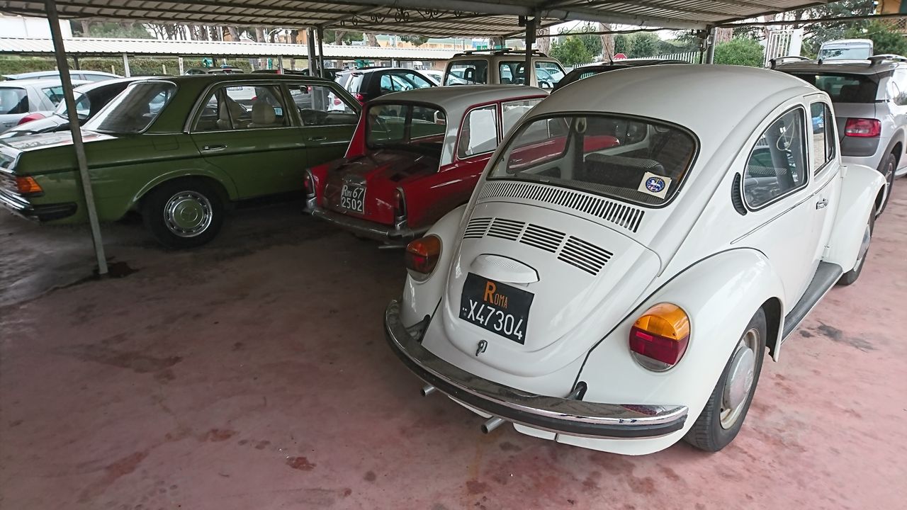 Drugim z faworytów był biały Volkswagen