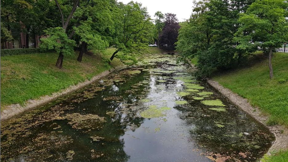 fosa miejska Wrocław