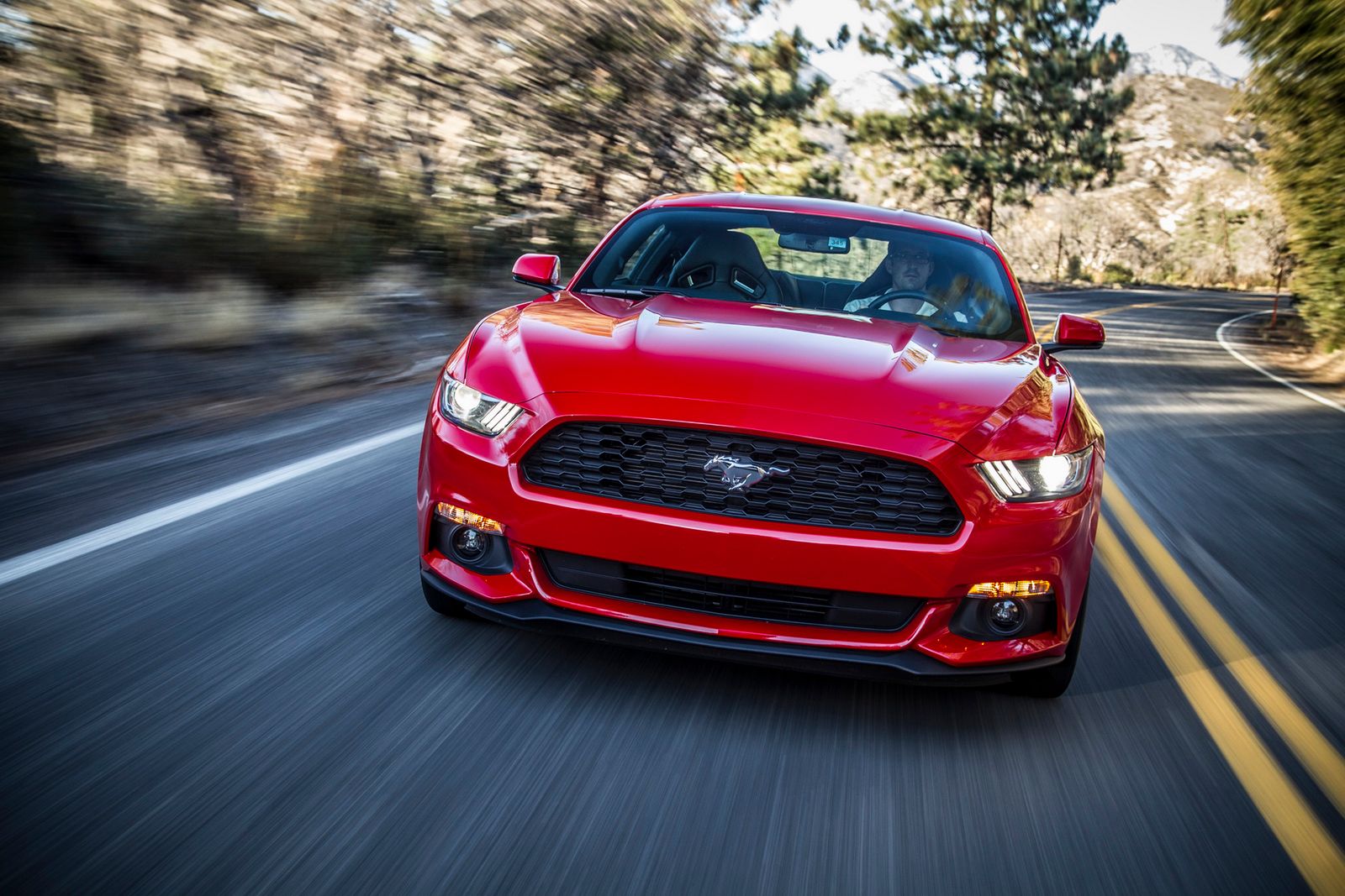 Zobacz Forda Mustanga 2015 na 100 nowych zdjęciach! 51