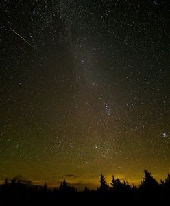 Perseidy 2022. Gdzie oglądać spadające gwiazdy? Dziś wyjątkowa noc