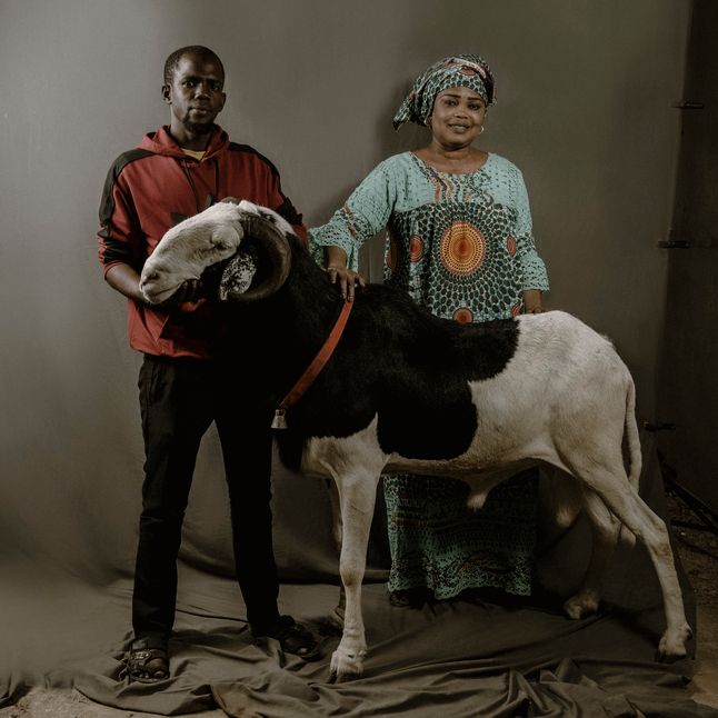 Madame Wane Fatou Binetou Diop i jej brat Moustapha Diop pokazują Mapate Junior, dwuipółletniego barana rasy Ladoum, który mierzy 112 cm w kłębie i 140 cm długości.