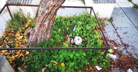 Problem z zielonymi skwerami. „Większość tych miejsc bardziej odstrasza, niż przyciąga”