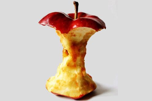 Zgniłe jabłuszko (Fot. Flickr/Roger Karlsson/Lic. CC by)