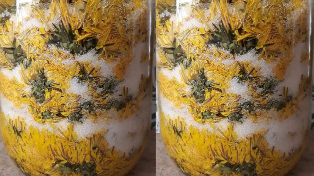 Syrop na kaszel z podbiału jest prosty do przygotowania