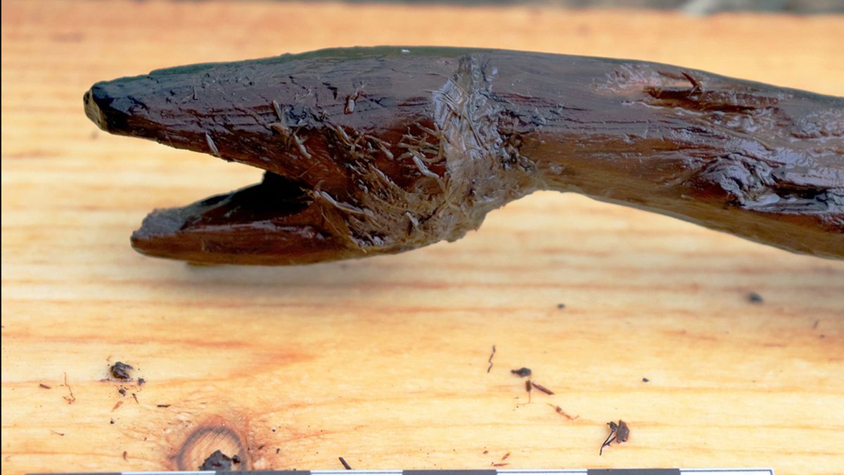 Kij mógł być używany przez szamanów