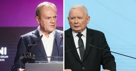 Z politykiem na grzyby? Dominują trzy nazwiska
